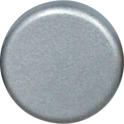 Silver Swatch